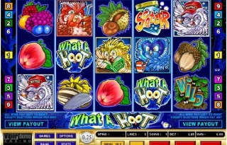 What a Hoot Slot